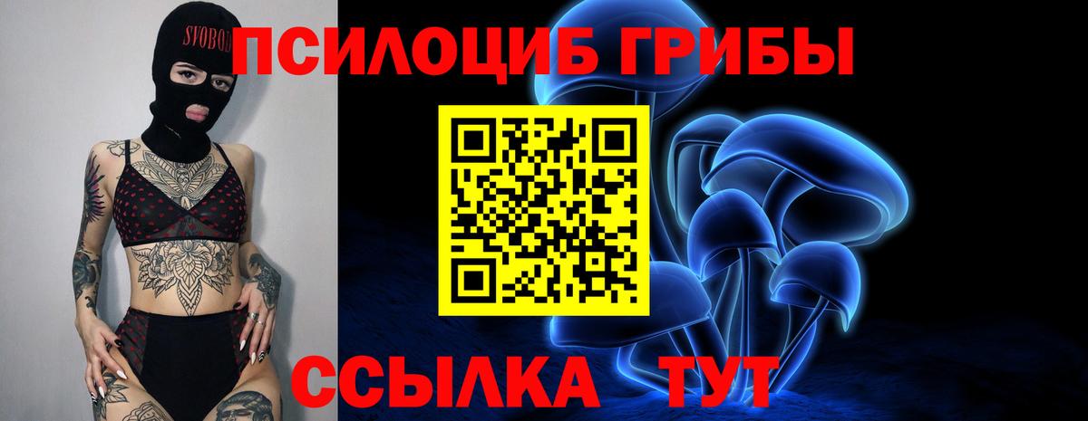 Галлюциногенные грибы Magic Shrooms Зеленодольск